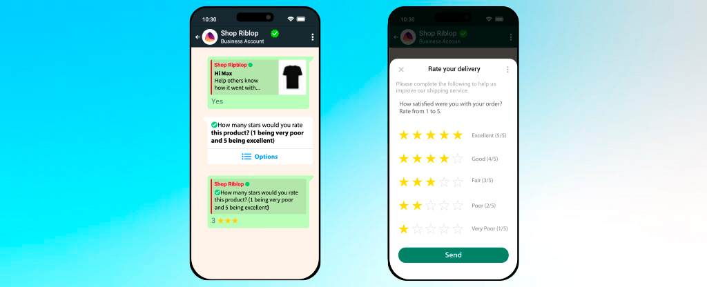 Post-Purchase Surveys